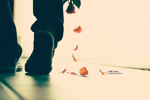 ΢Ȧ˵˵һ仰