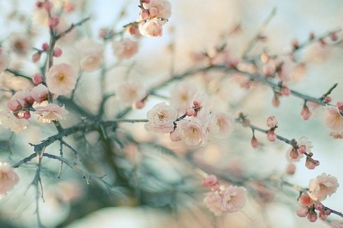 2013˸е˵˵ ĵʱŷ֣и趼