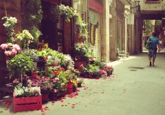 2013qqռ˵˵ȫ صķ羰