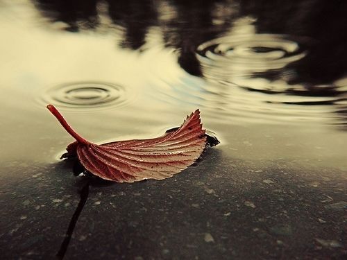 qqǩ ʵõˣһӣҲ