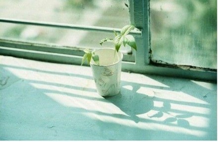 ΨqqռͼƬ˵˵ȫ