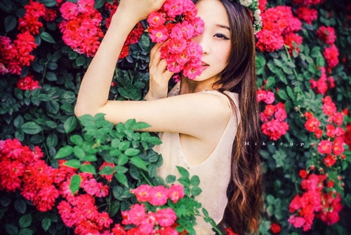 Ʒ˵˵