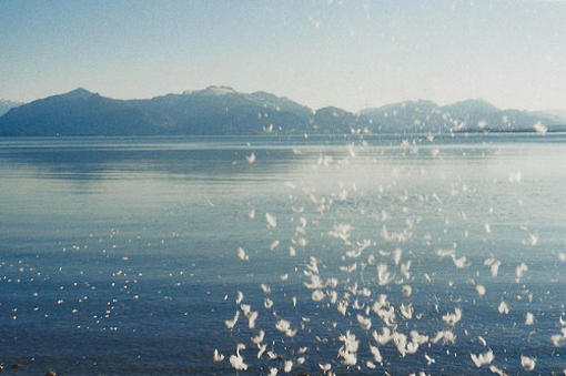 2014˸еľ˵˵ ʱóĬ