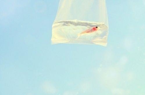 ˵˵¼ ഺǲܲ˲ʰķ