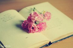 ľӹڰ ΢ЦԶһÿĶ