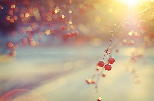 qq˵˵ȫͼƬ ͼƬΨռȫ7