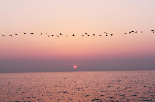 qq˵˵ȫͼƬ ͼƬΨռȫ