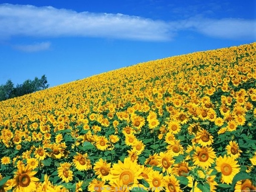 ˵˵ Ҫܱô˵˻ţҪȡñ