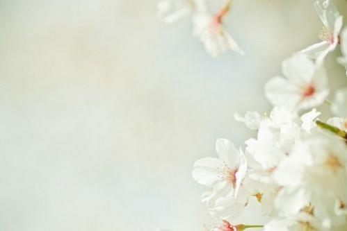 qqռ˸˵˵ͼƬ ˸ֿͼƬȫ3