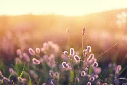 ڰ˸еĻ