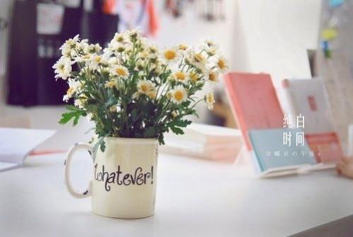 QQռΨ˸е˵˵ȫ