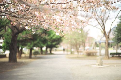 ϵ