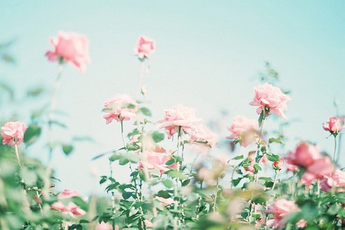 2015ռͼ˵˵ȫ