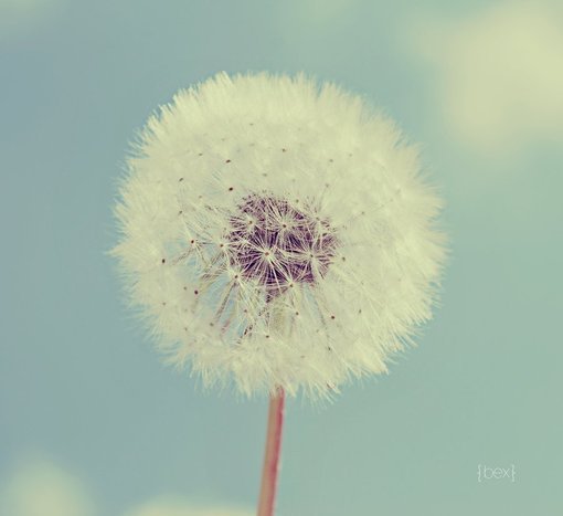 ԼĿռ˵˵