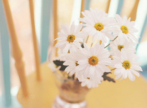ڵȰְ