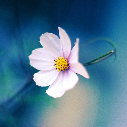QQռ侭ͼƬ˵˵3