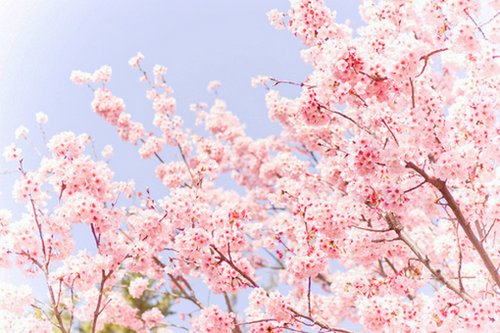 һ仰˸Ψ˵˵