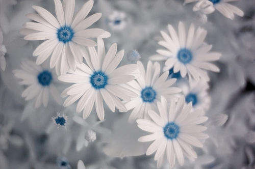 Ϊ˳ɡοΪ
