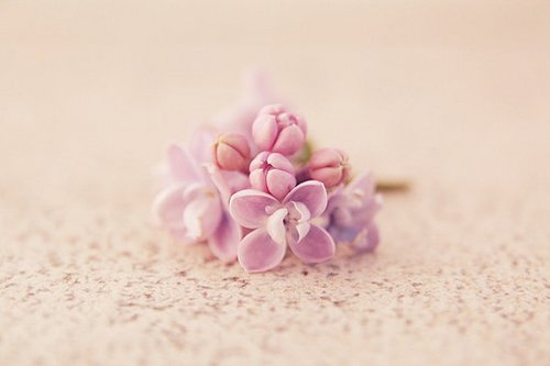 ɭϵ˵˵ӴͼƬ ɭϵͼƬ˵˵˵˵