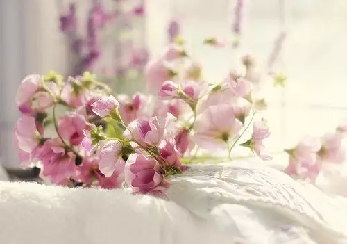 ɭϵ˵˵ӴͼƬ ɭϵͼƬ˵˵˵˵5