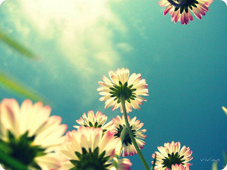qqռͼƬ˵˵3