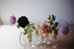 2015˵˵ﳤһ