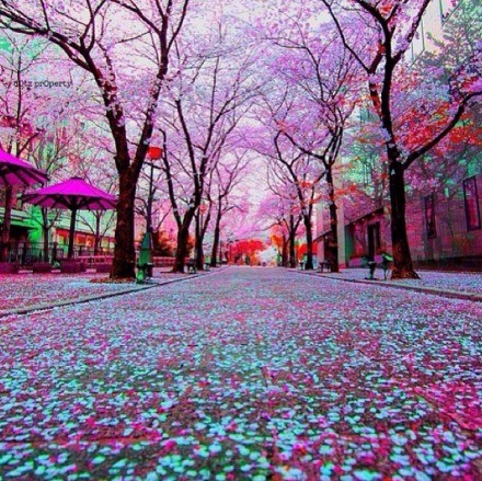 дĵľ ̫ںһִ