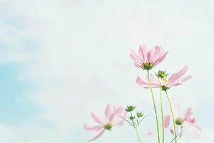е˸е˵˵ͼƬ5
