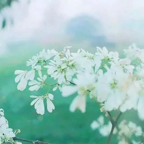 鲻õĶ̾