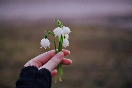 ռ˵˵ͼƬ ͼƬ˵˵ȫ6