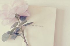 Ϣ˸о