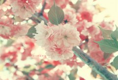 ۵˵˵