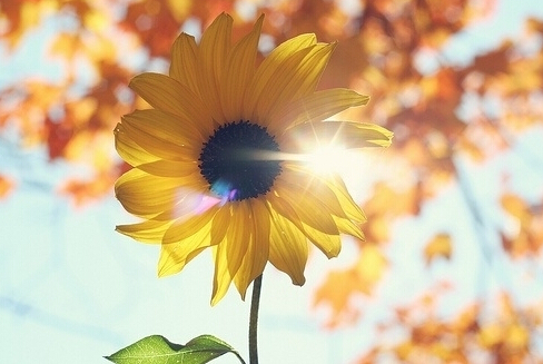 ഺ˵˵ 㲻¸ңûǿ