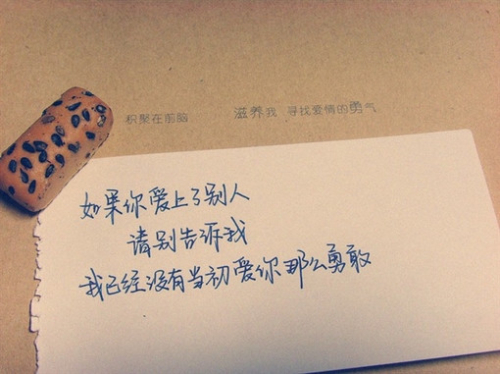 ʧ˸ǩȫ2015°