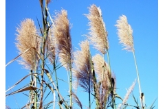 ڵȻ˵˵ ֪أ֪Ũ