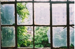 2015΢¼˵˵