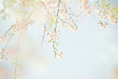 氮˼ ѷ