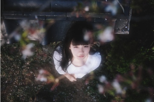 ʧʹ˵˵