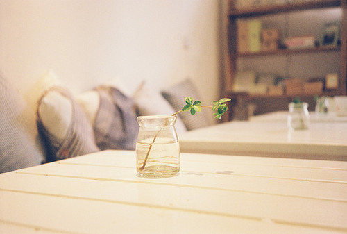 qq˵˵Ψľ