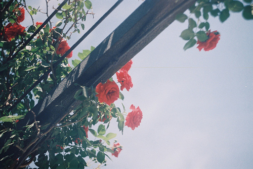 ˸ľ˵˵