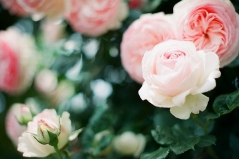 ۵ľ˵˵ ôһζʹ಻
