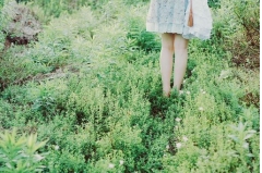 ڵ