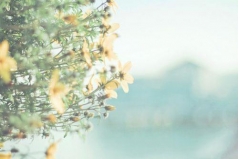 о˵˵