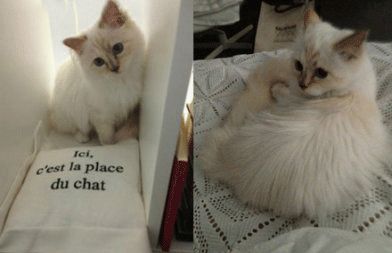 qqհΨ¼˵˵
