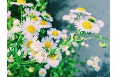 ΢ž˵˵ȫ