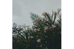 鵭˵˵˵