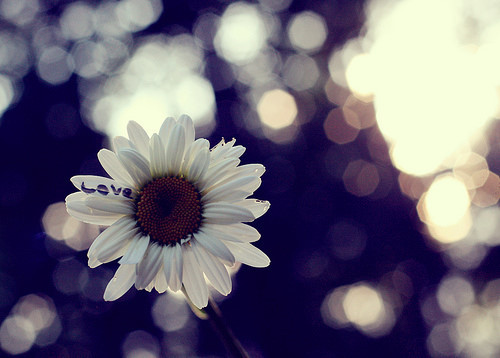 Ů˵˵ȫ
