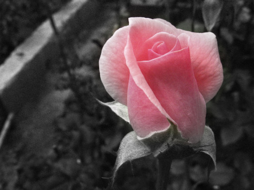 ȥһҳܲͲ˻ҳ˫