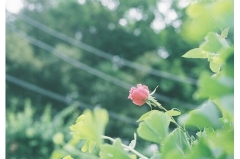 йطľ˵˵