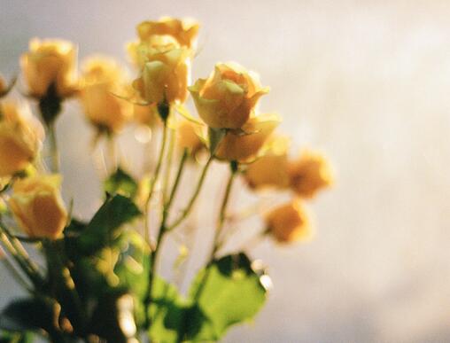 һ˵İ˵˵